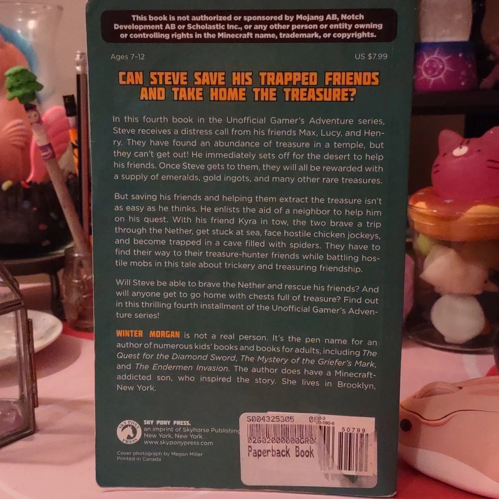 Minecraft Adventure Book: Treasure Hunters in Trouble